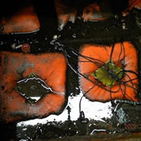 Floating / Filter Bag