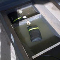 Floating / Filter Bag